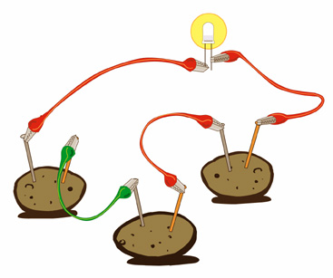 Generate electricity from potatoes